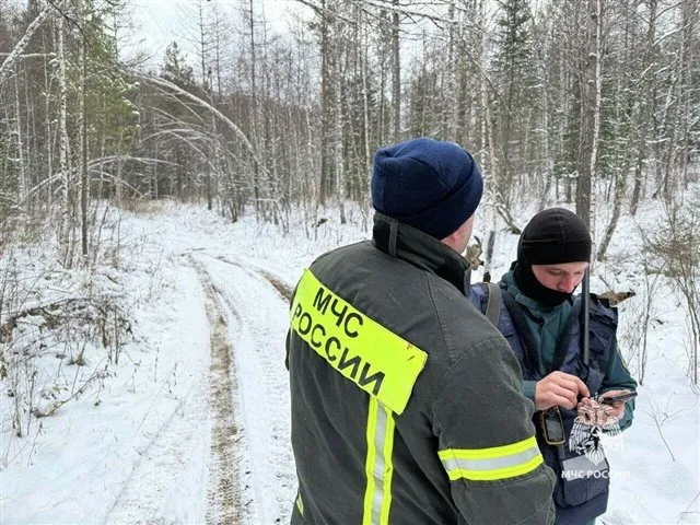 В поисках красноярской семьи исследовали 284 километра лесных тропинок