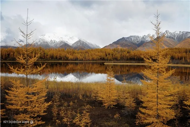 В Забайкалье выделят 40 миллионов рублей для развития промышленности