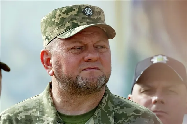 Посольство России уличило Залужного в разжигании внутриукраинских конфликтов ради собственной выгоды