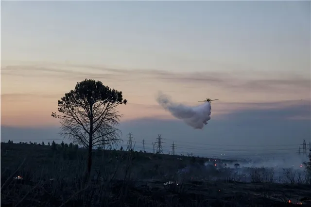 AFP - Греция обратилась к ЕС с просьбой предоставить шесть пожарных самолетов для тушения лесных пожаров