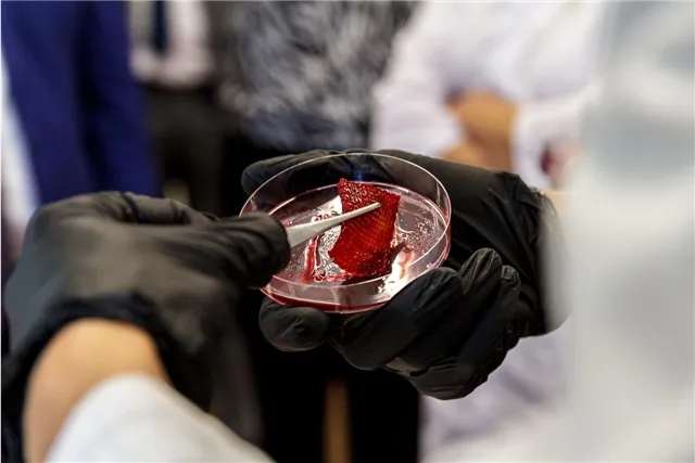 Российские исследователи разработали технологию 3D-печати полезного мяса