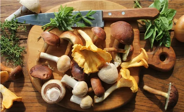 Пикантная грибная солянка на зиму - простой и полезный рецепт домашней заготовки