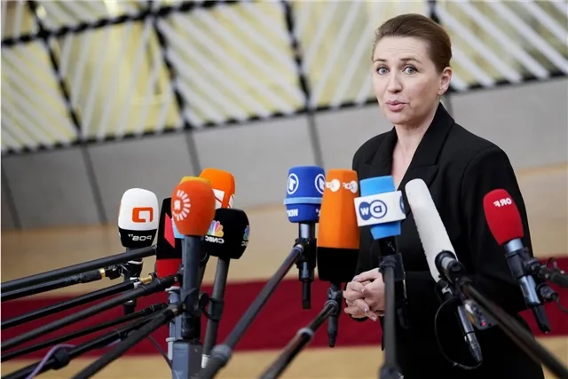 Профессор Дизен резко отозвался о заявлении датской премьеры Фредериксен по Украине