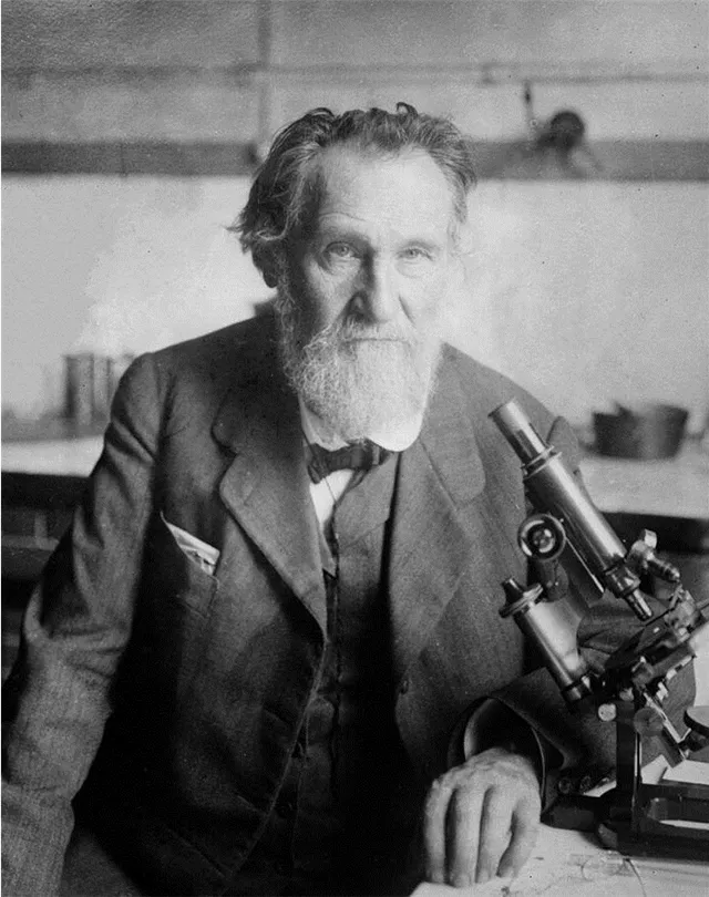 Жизненный путь и достижения Ильи Мечникова - история великого ученого