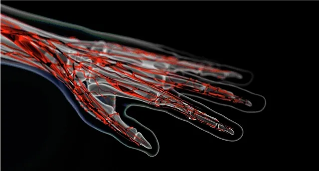 Прозрачная кожа - самарские исследователи раскрыли секрет идеального видения вен