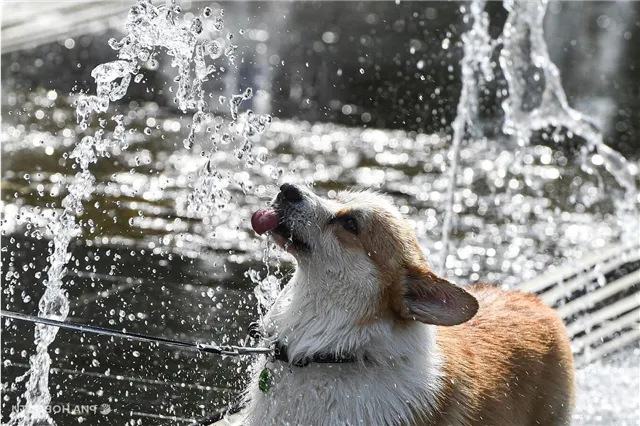 В Москве в четверг воздух прогрелся до приятных +29,3°C!