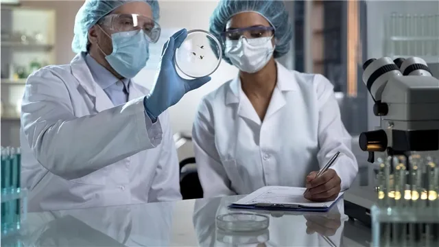 Муравьи Messor ibericus способны воспроизводить потомство, принадлежащее другому виду — удивительные особенности природы