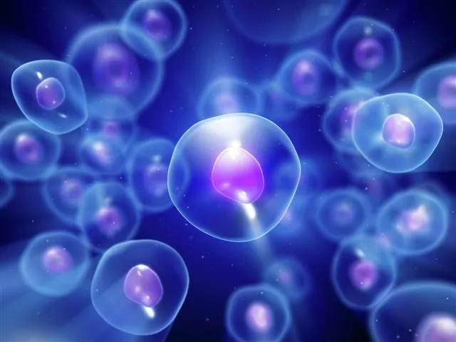 Сибирские исследователи раскрыли новый ключ к успеху в ЭКО